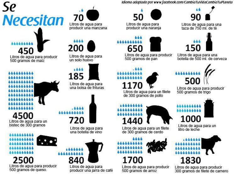 cuina climatica infografia
